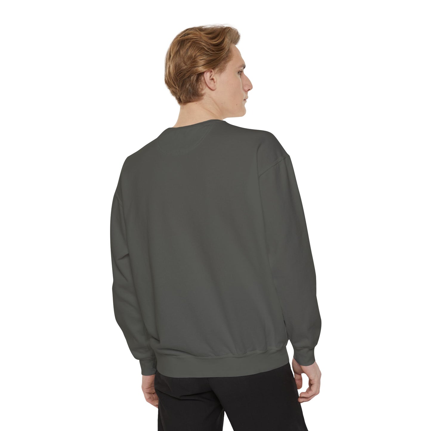 TS Song Sweatshirt