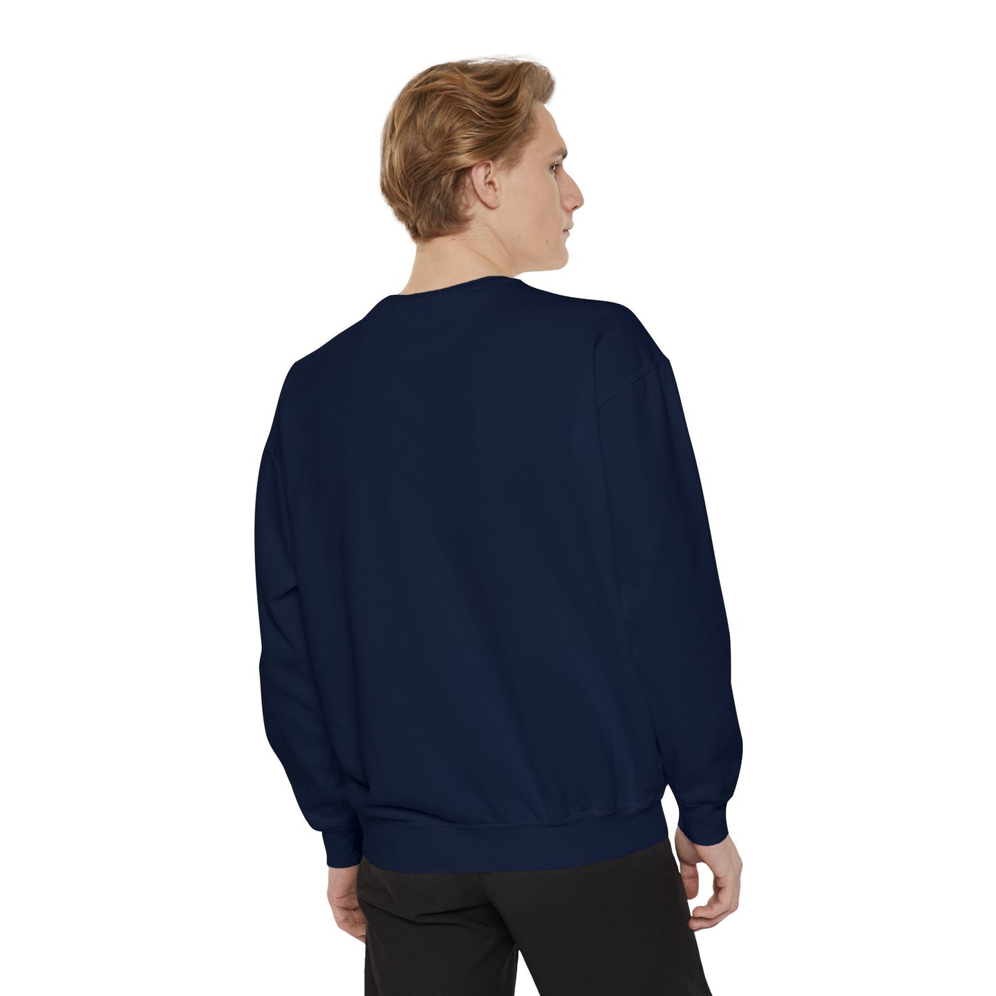 TS Song Sweatshirt
