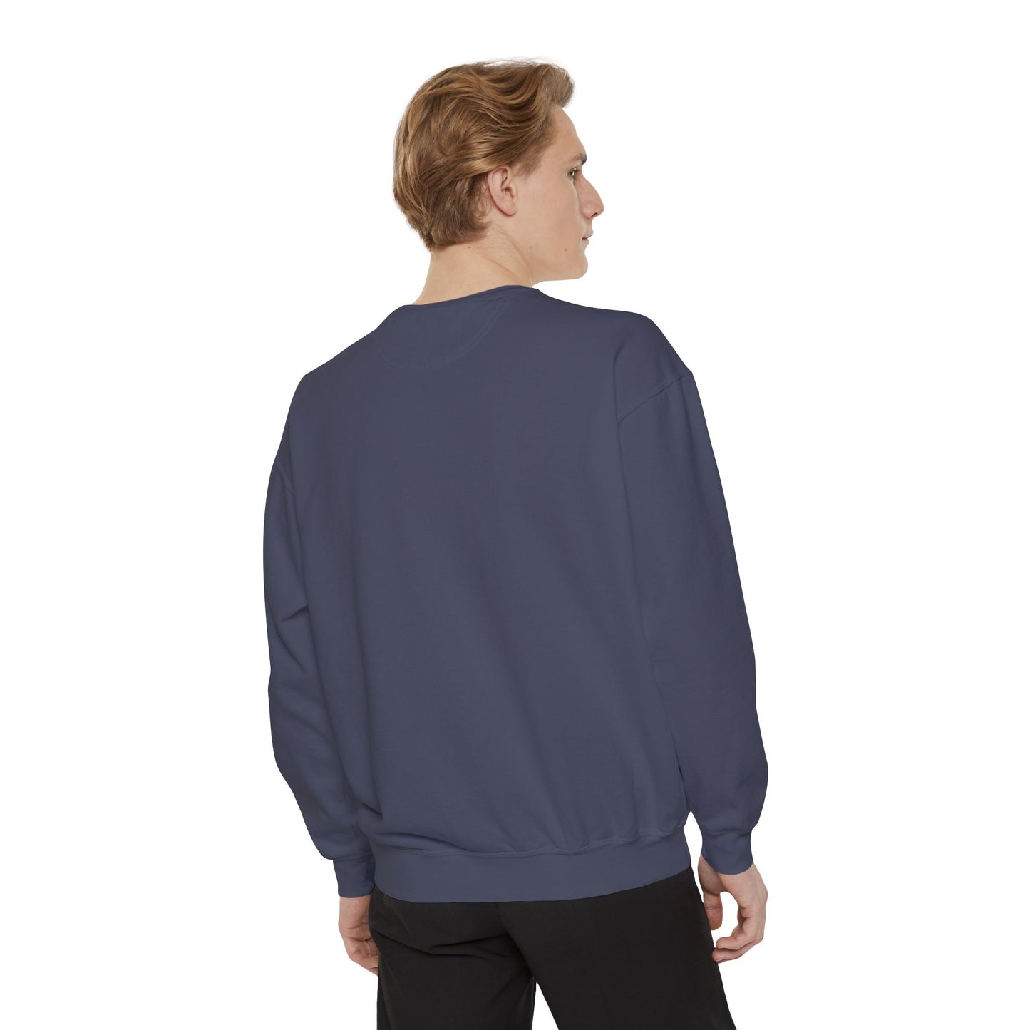 TS Song Sweatshirt