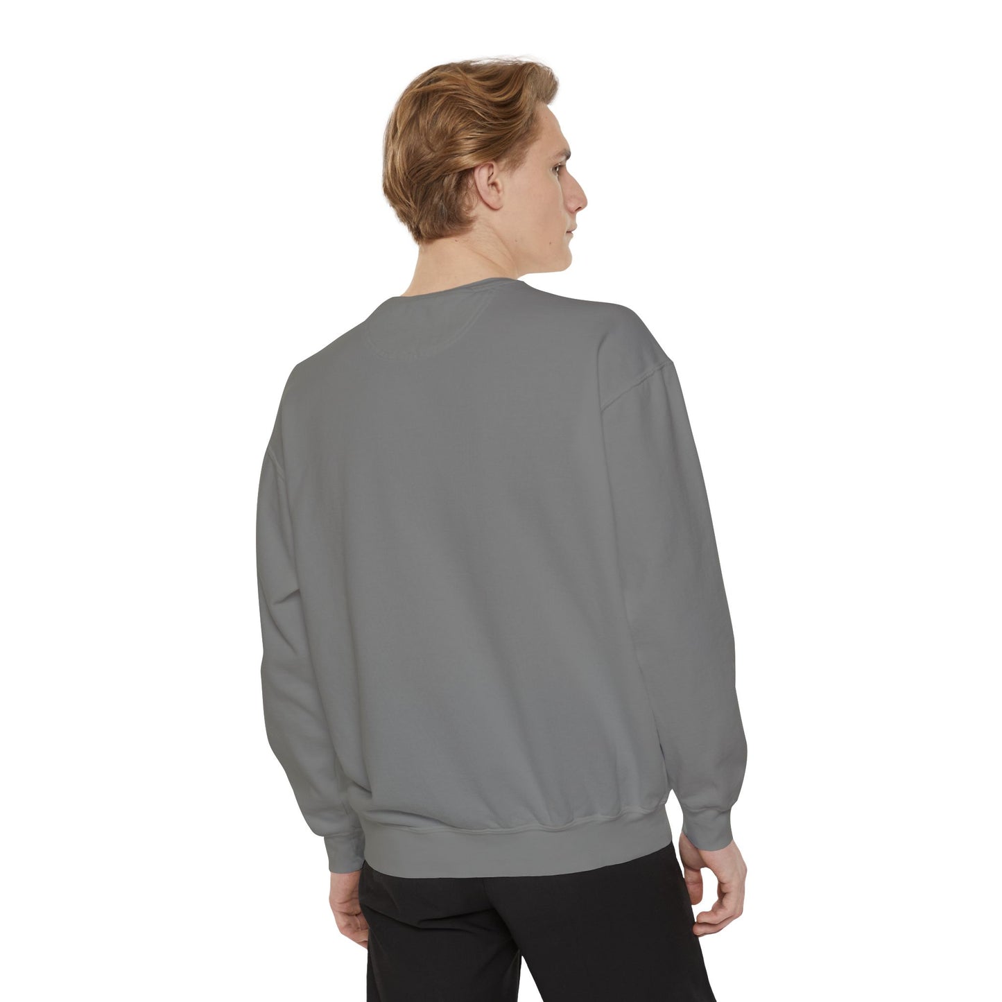TS Song Sweatshirt