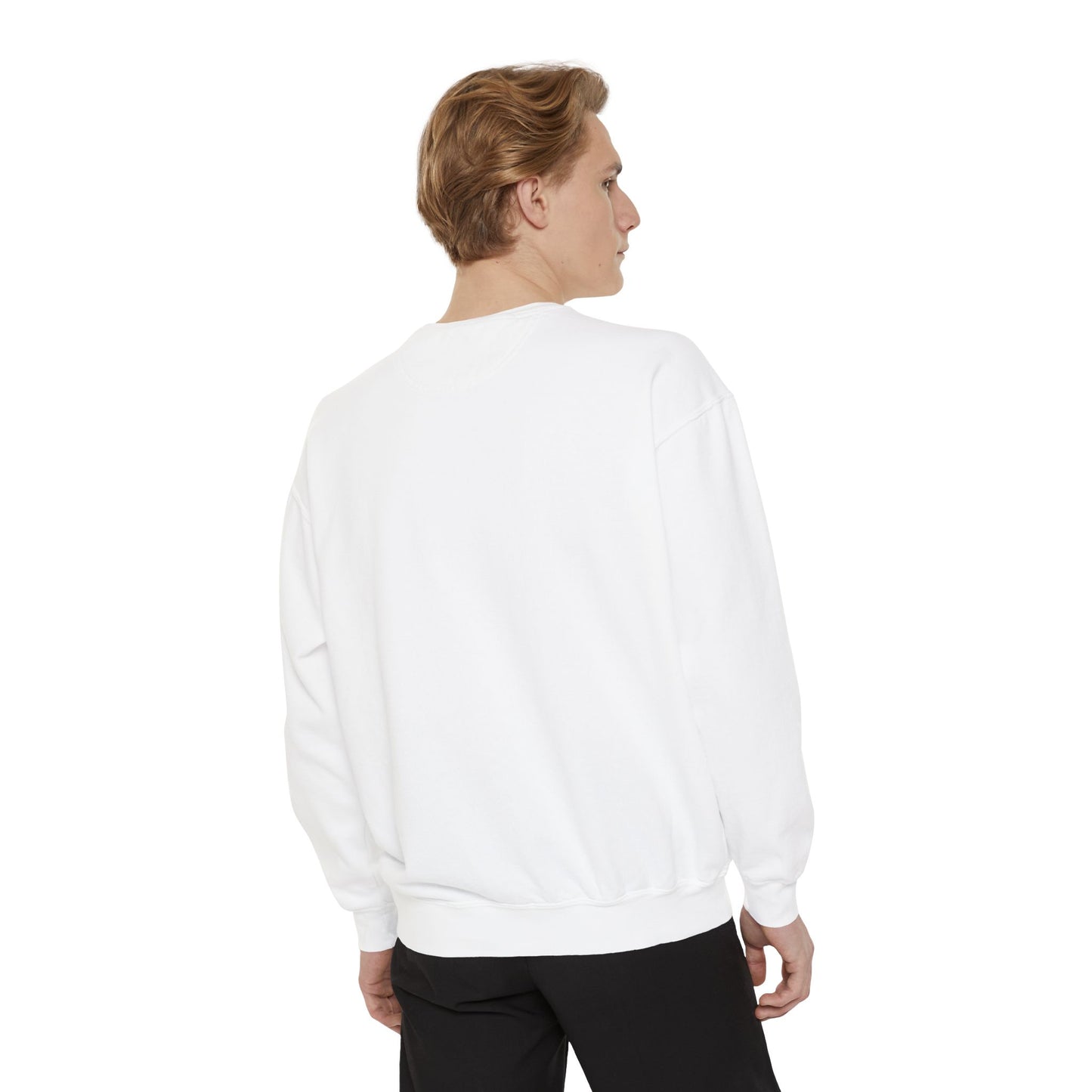 TS Song Sweatshirt