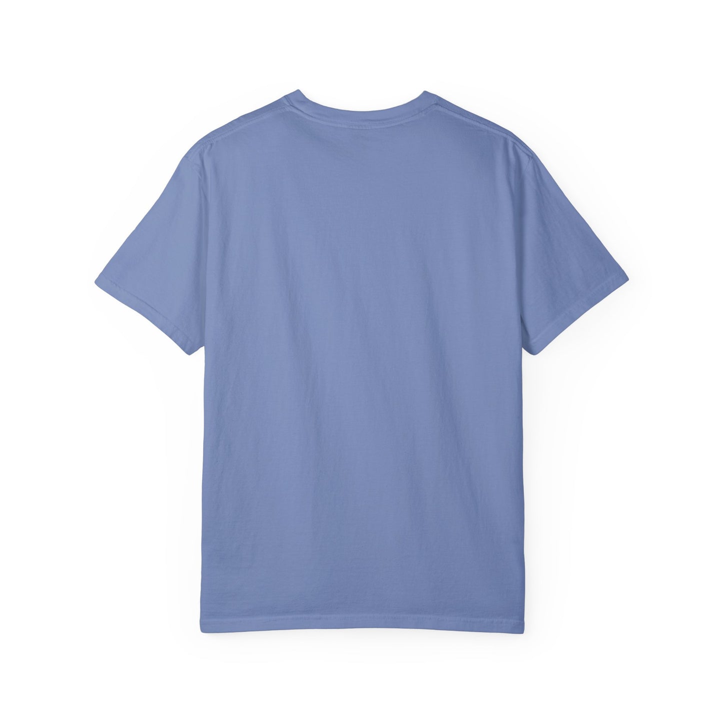 Unisex Garment-Dyed T-shirt - Garble - The Russian Racconian
